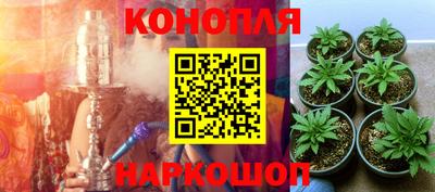 apvp Ипатово