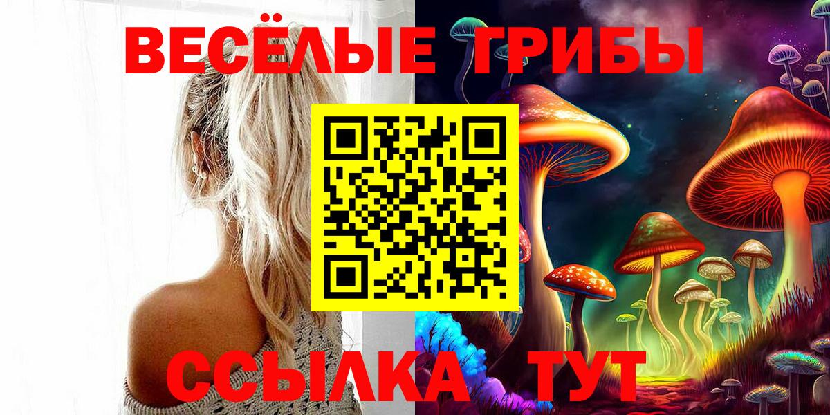 Киров  что такое наркотик  Вход с VPN  Галлюциногенные грибы прущие грибы  Галлюциногенные грибы Psilocybine cubensis 